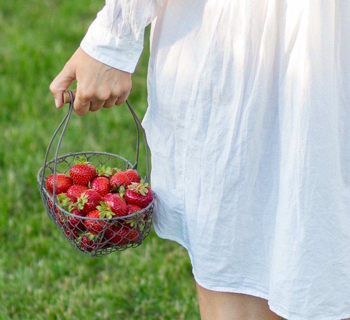 Korb mit Erdbeeren für Erdbeerkuchen